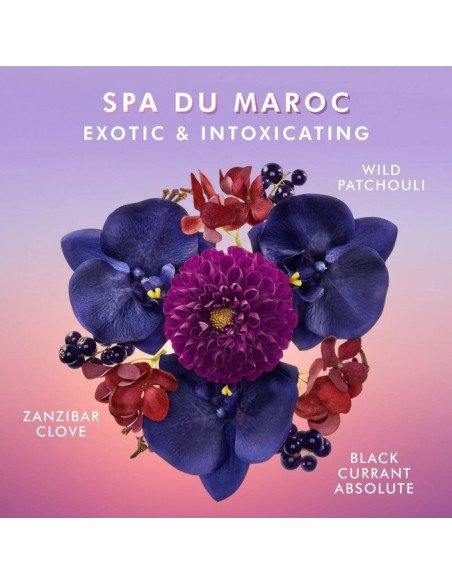 MOROCCANOIL BODY LOTION SPA DU MAROCL 360ML